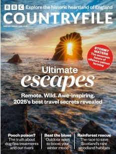 Cover undefined