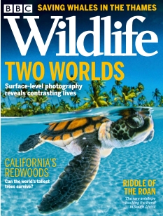 cover BBC Wildlife Magazine n°202110