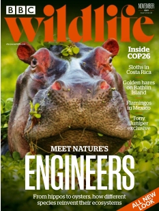 cover BBC Wildlife Magazine n°202111