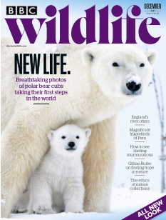 cover BBC Wildlife Magazine n°202112