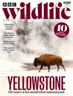 cover BBC Wildlife Magazine n°202211