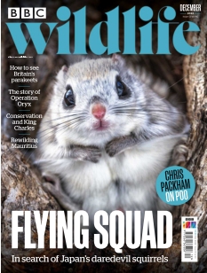 cover BBC Wildlife Magazine n°202212