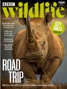 cover BBC Wildlife Magazine n°202302