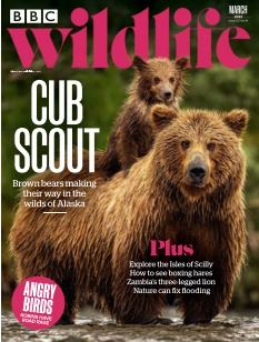 cover BBC Wildlife Magazine n°202303