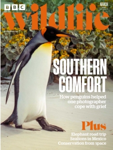 Cover undefined