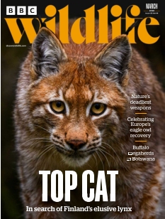 cover BBC Wildlife Magazine n°20260212