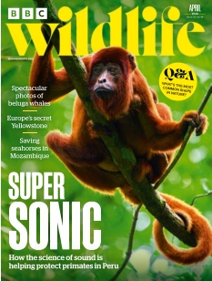 cover BBC Wildlife Magazine n°20260214