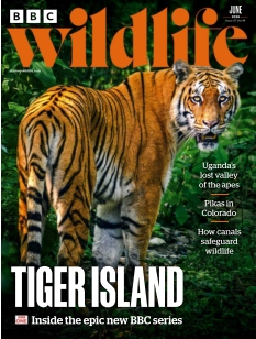 cover BBC Wildlife Magazine n°20260216