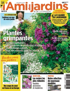 Cover undefined