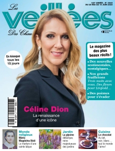 Cover Les Veillées des Chaumières