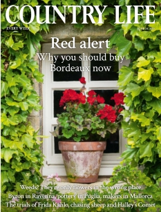 cover Country Life n°771