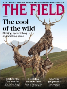 Cover The Field