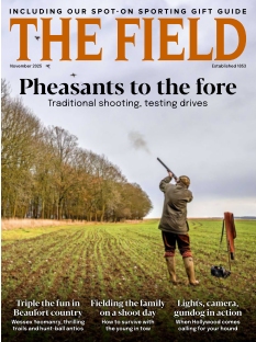 Cover of The Field from 