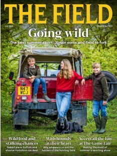 cover The Field n°202607