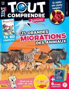 Cover undefined