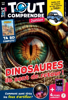 Cover Tout Comprendre Junior