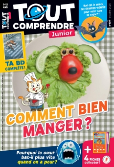 Couverture de Tout Comprendre Junior du 