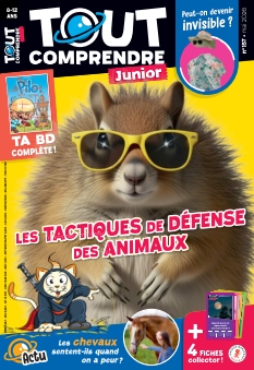 cover Tout Comprendre Junior n°157