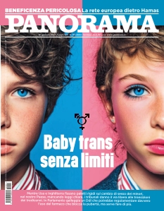 cover Panorama IT n°20260114