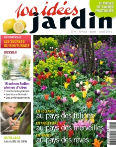 cover 100 Idées Jardin n°6