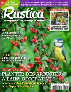 Couverture de Rustica du 26 septembre 2025