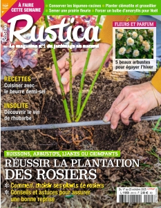 Couverture de Rustica du 17 octobre 2025