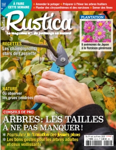 Couverture de Rustica du 31 octobre 2025