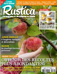 Couverture de Rustica du 14 novembre 2025