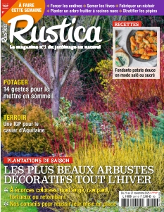 Couverture de Rustica du 21 novembre 2025