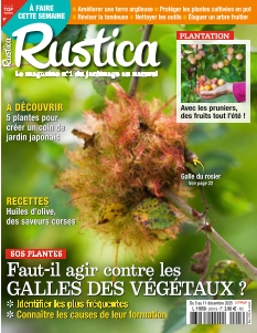 Couverture de Rustica du 05 décembre 2025