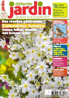 Cover undefined