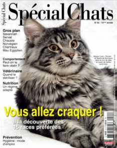 Cover undefined