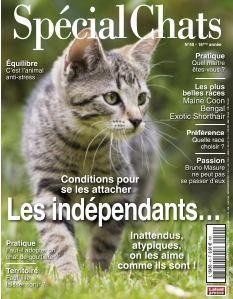 Cover undefined
