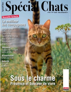 Cover undefined