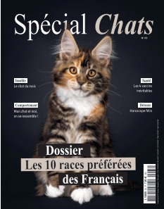 Cover undefined