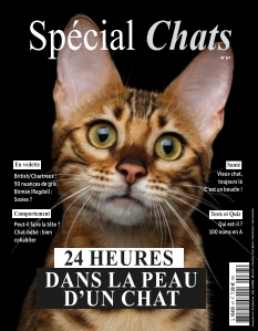 Cover Spécial Chats