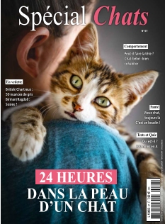 Couverture de Spécial Chats du 17 juillet 2025