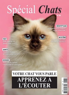 Couverture de Spécial Chats du 24 octobre 2025