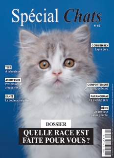 cover Spécial Chats n°69