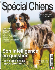 Cover undefined