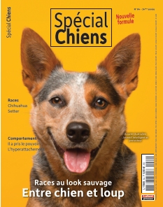 Cover undefined