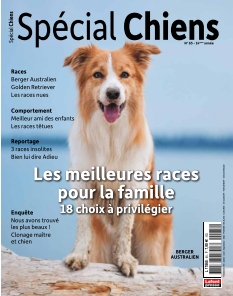 Cover undefined