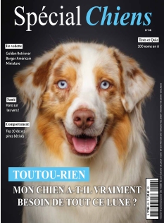 Couverture de Spécial Chiens du 17 juillet 2025