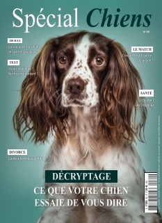 Couverture de Spécial Chiens du 24 octobre 2025