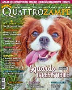 cover Quattro Zampe n°160
