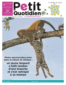 Cover undefined