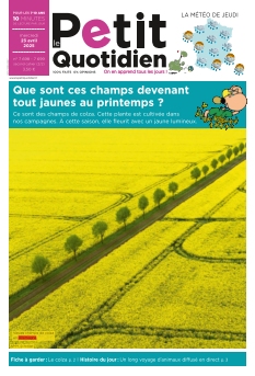 Cover undefined