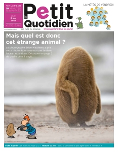 Cover undefined