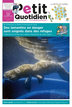 Cover undefined