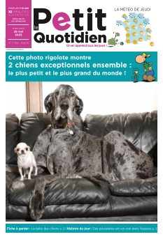 Cover undefined